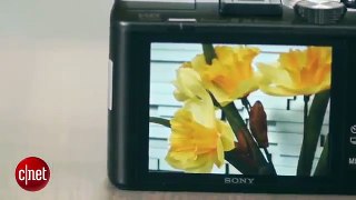 Sony shoots for enthusiasts with HX50V travel zoom 2014