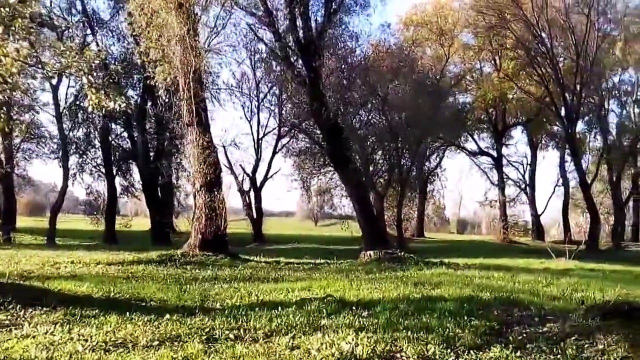 Ennio Morricone ~ SPIEL MIR DAS LIED VOM TOD • Once Upon a Time in the West ◘ By Jelena Osijek HR