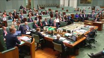 Natasha Griggs MP Asks  Question in Federal Parliament on ChAFTA and the Misinformation Campaign