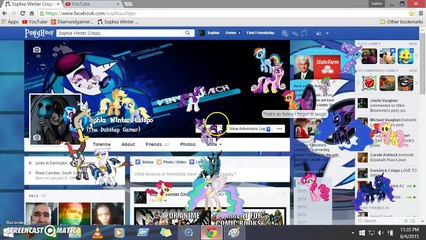 PONIES...PONIES EVERYWHERE