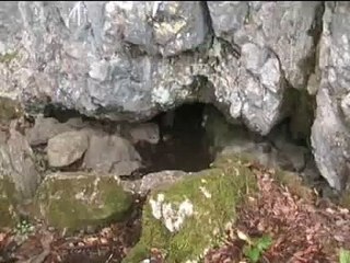 PECINA KUHIJA  LEGLO ZMAJEVA RIBICI KONJIC