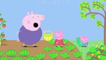 Свинка Пеппа RYTP / Свинка пеппа пуп ритп | Peppa Pig russian
