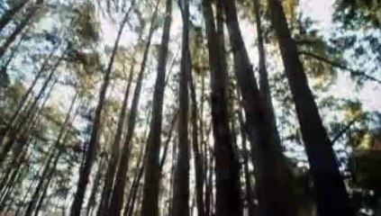 필리핀밤문화여행††≪【ＳＬＤＢ７。Ｃ0Ｍ】≫††룰렛사이트