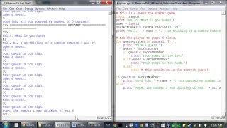 Lesson 12 - Python Programming (Automate the Boring Stuff with Python)