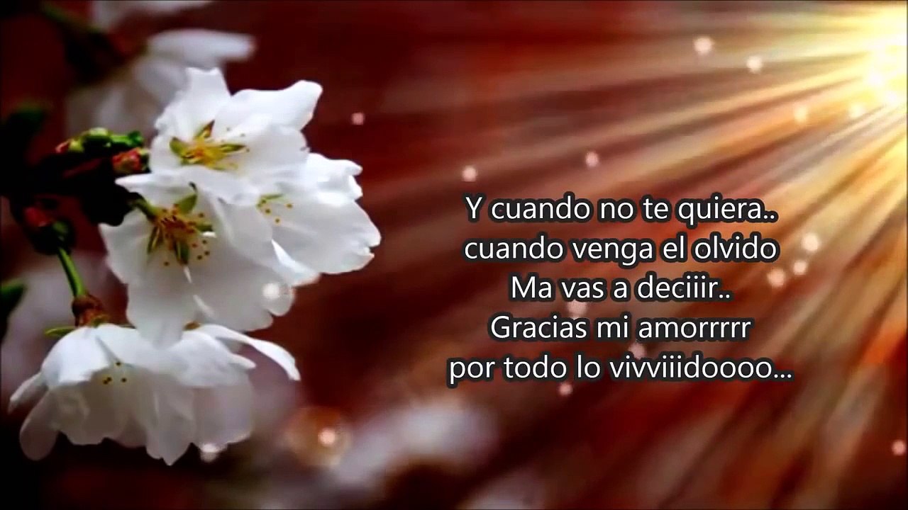 Gracias mi amor por todo lo vivido  karaoke
