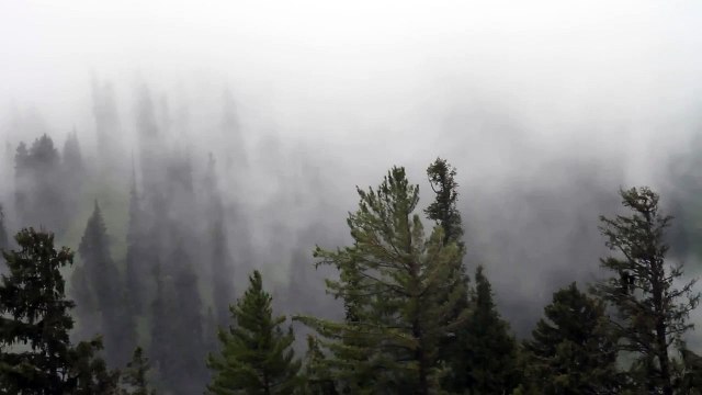 Canon 7D Greenish Grass Cloudy Mountains Travel Natural Beauty of Pakistan Sari Paya 19 Aug 2013