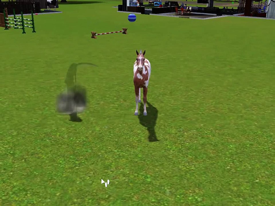 The Sims 3 Pets: Horse dying