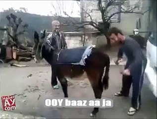 Amazing Videos a crazy man with donkey