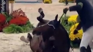Hickstead - Muere el mejor caballo del mundo