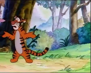 The New Adventures of Winnie the Pooh Tigger's shoes