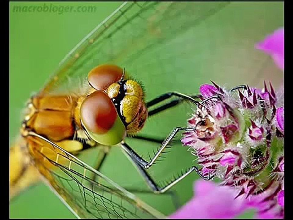 Bangla Islamic Songs and Gojol 2015 Tumi Lahuter Mehman Bangla Islamic Gazal