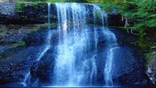 RELAXARE IN NATURA PENTRU TRUP, MINTE SI SUFLET