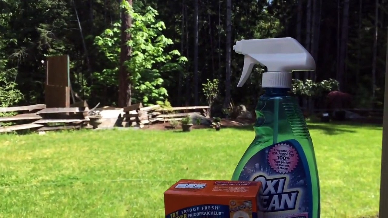 How To | Clean Your Converse Shoes