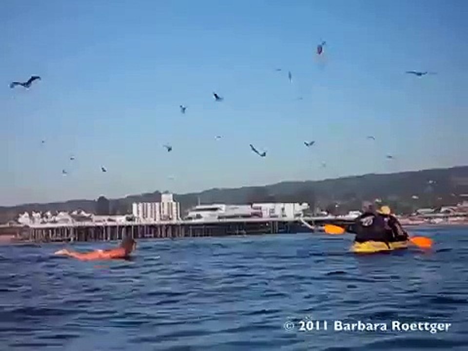 yaşamla ölüm arasında ince çizgi