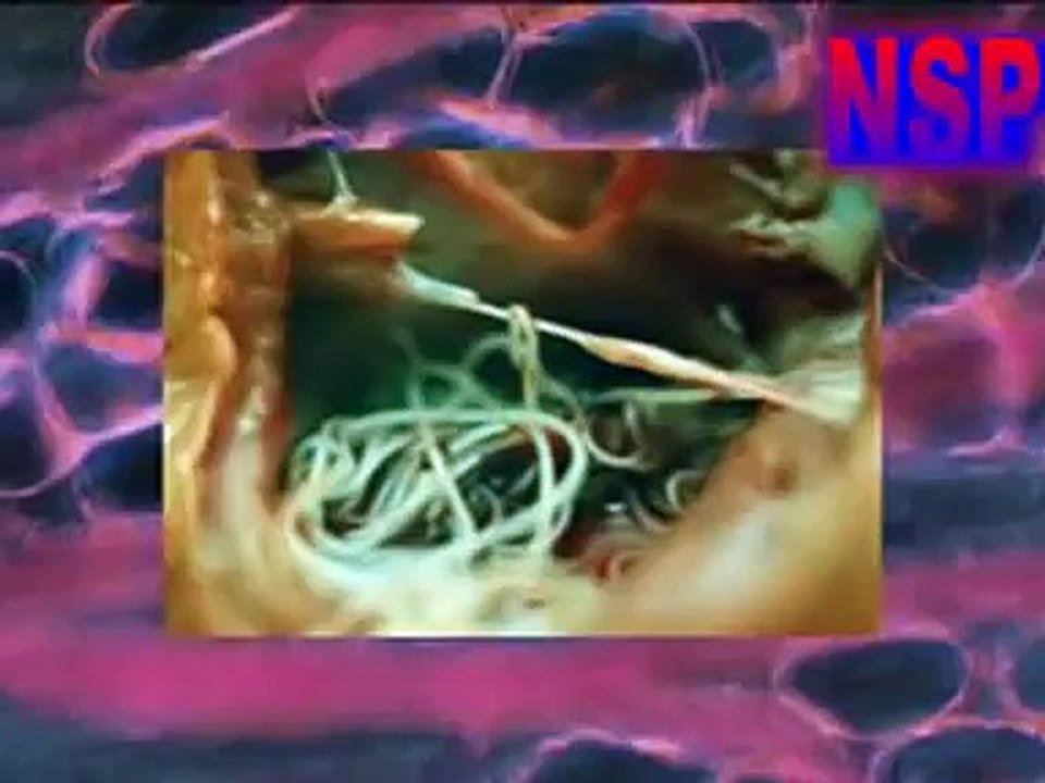 Гости, которых мы не звали. Смотреть до КОНЦА!!!