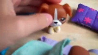 LPS: Dog Family: Part 1 (Old Version)