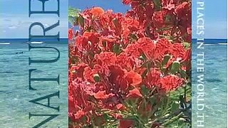 Saipan Video 2