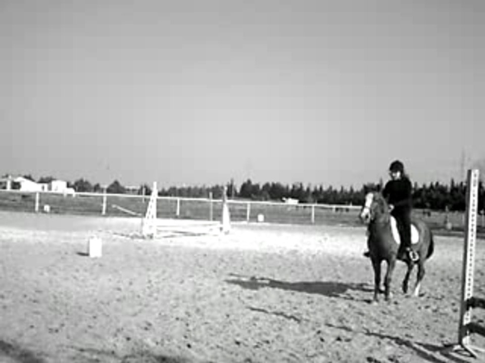 Saut avec Le Prince sur un oxer