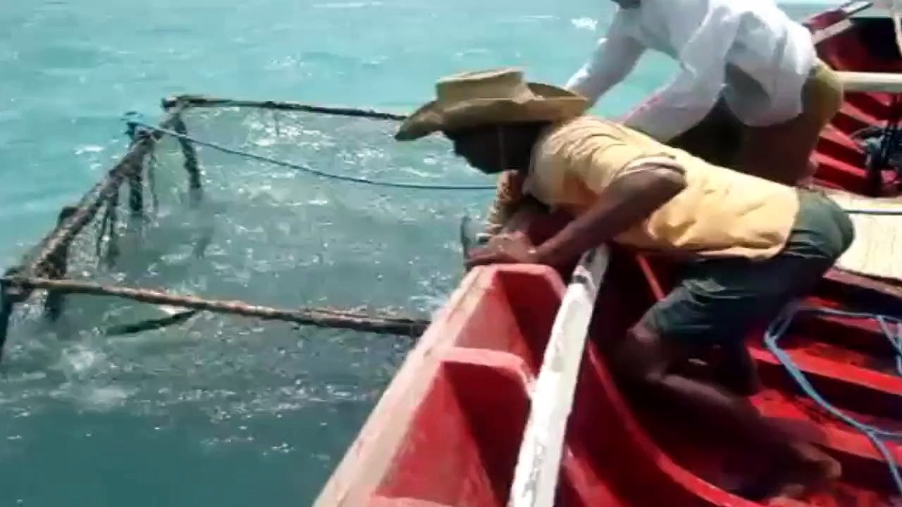 Balık tutamayanlar sakın izlemesin!!!