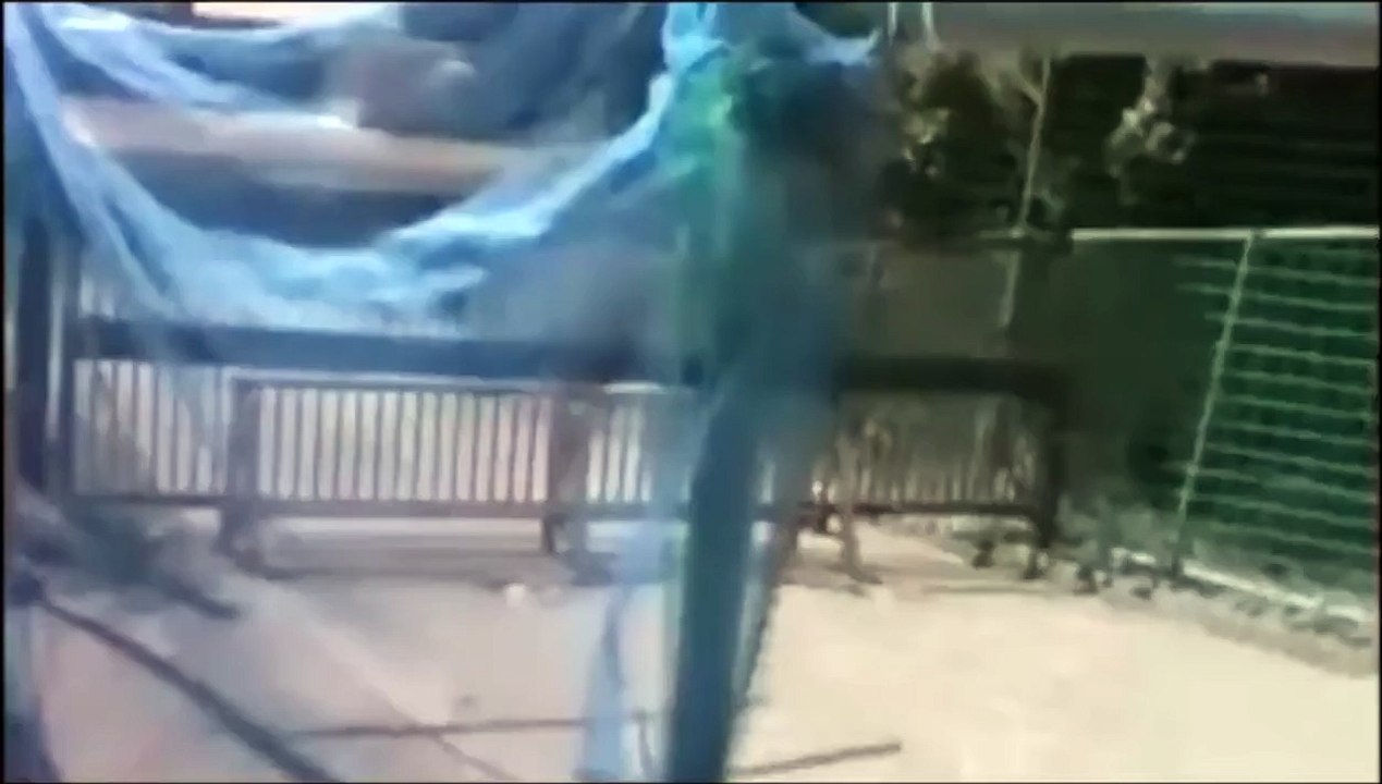 japanese ghost video compilation 19 M 日本灵异录影汇集