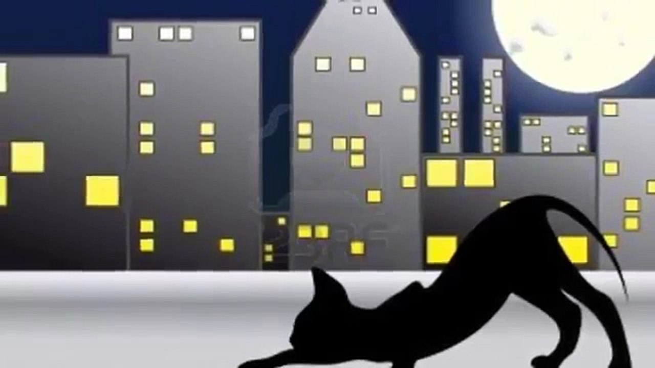 SABIAS QUE - LOS GATOS JUEGAN DE NOCHE-El Ronroneo de los Jueves