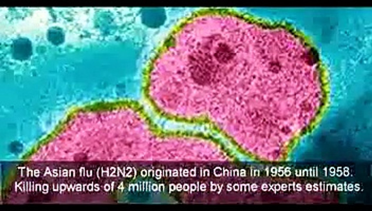 Top_10_Deadliest_Diseases_In_Human_History_-_Ebola