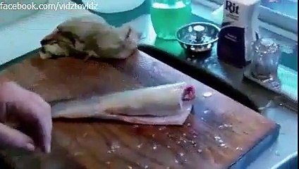 How is this even possible?