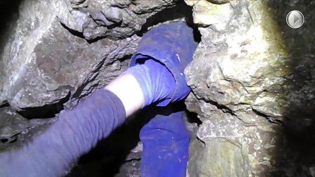 Des fossiles ont été découverts en Afrique du Sud