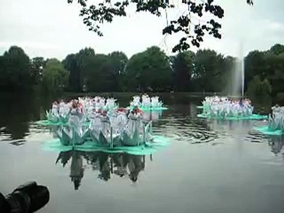 100 Indische Waterlelies op de stadsparkvijver van Turnhout