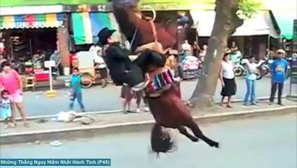 [Tin Việt Tv] Những Thằng Nguy Hiểm Nhất Hành Tinh (P48) ✔