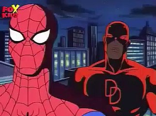 Spiderman the Animated Series and Daredevil