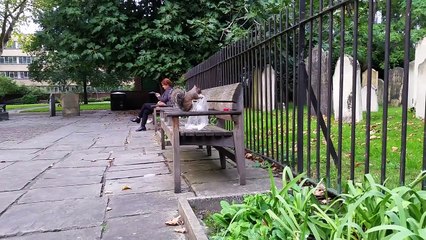 Adorable squirrel plays with a plastic bag