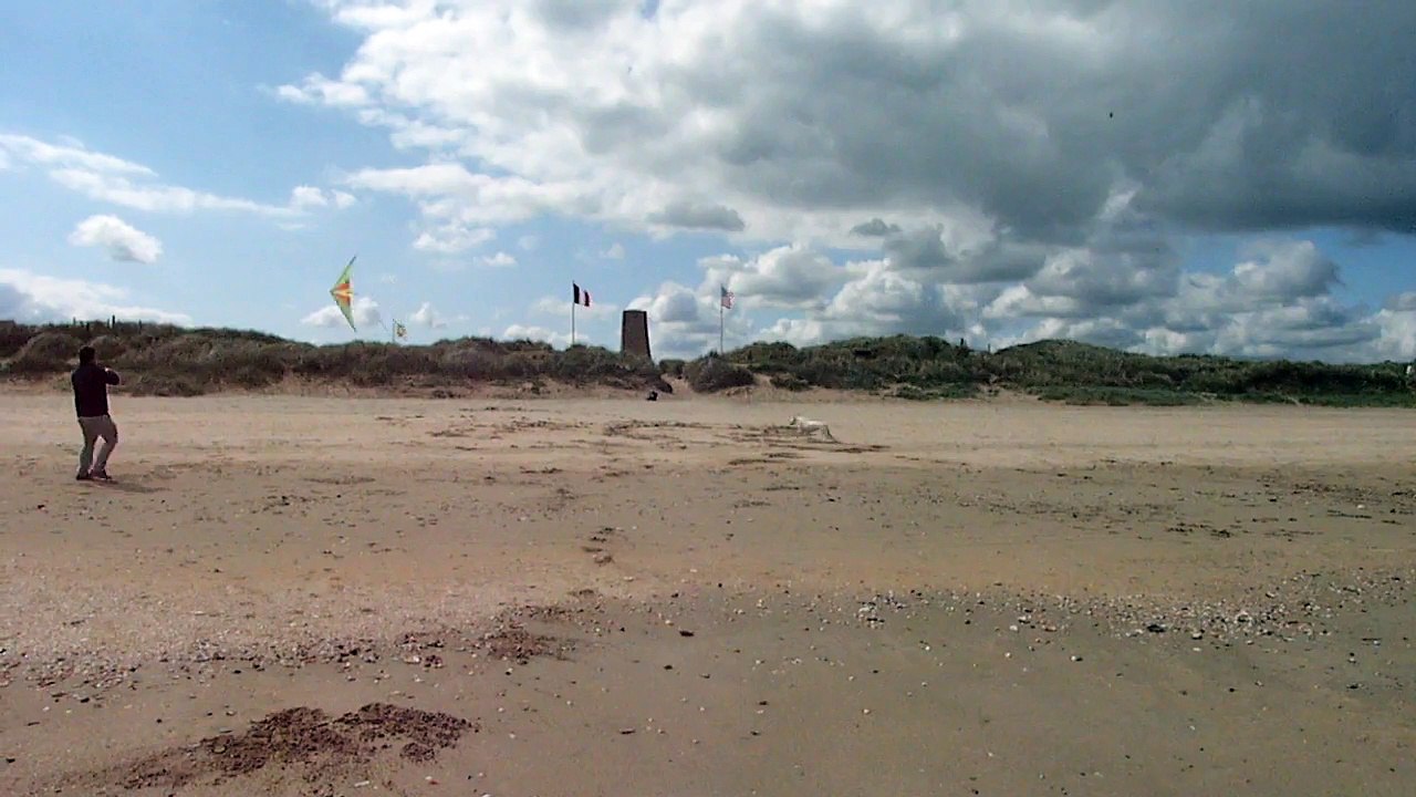 Mangeage de cerf volant