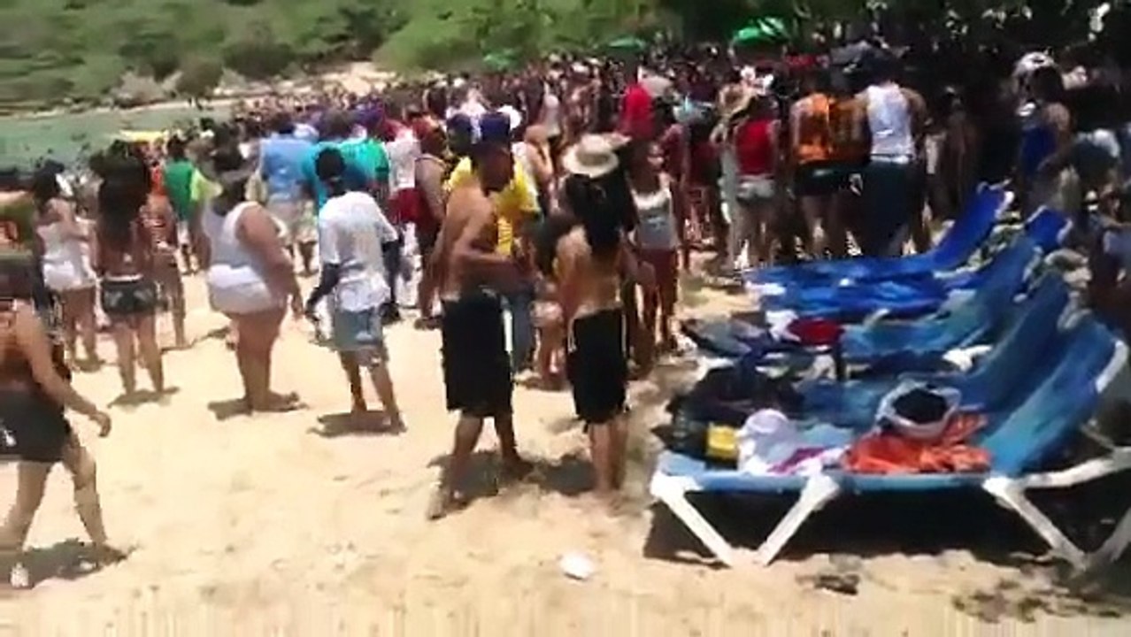 Playa la Ensenada un lugar de animales?