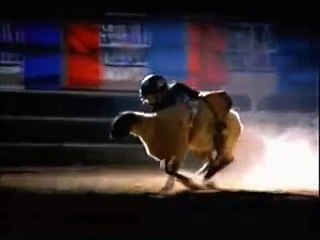 PRENDIAMO COSCIENZA!!! - "EARTHLINGS" - sottotitoli in italiano - parte 8/11 (INTRATTENIMENTO).mp4