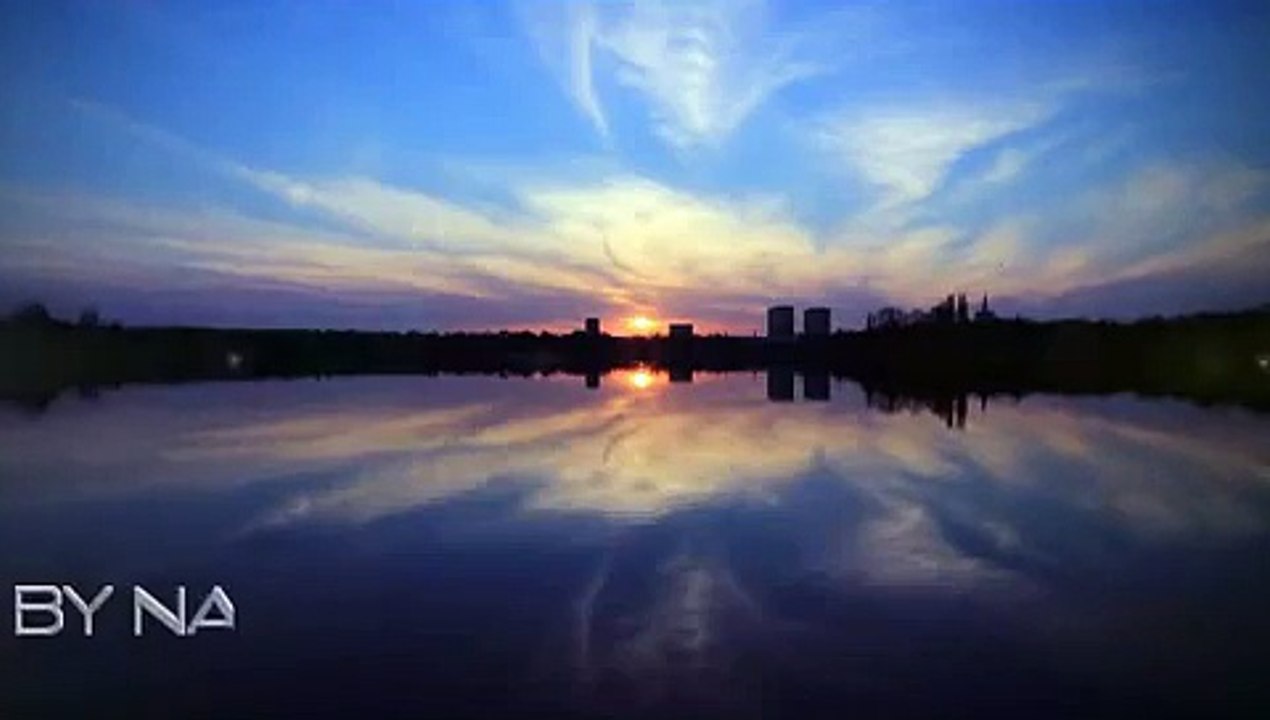 Funny Pigs Mating Breeding Animals Mating