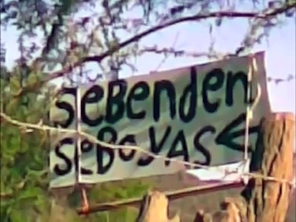 letreros estupidos 2