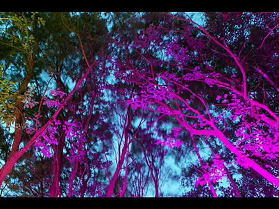 Electric Universe - Sonic Ecstasy