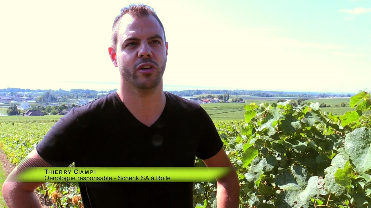 News du 10 septembre 2015 - Caves Schenk