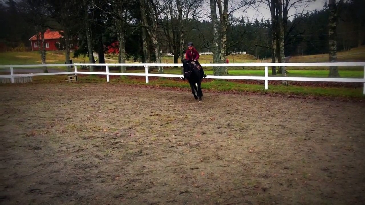 My Edited Video