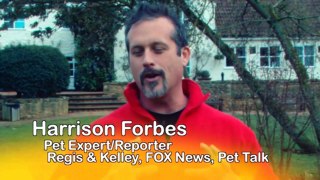 Celebrity Pet Expert Harrison Forbes at Waltham 2011