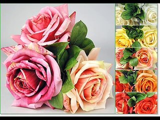 PORTA - MI ROSA NEGRA(con bazzel)