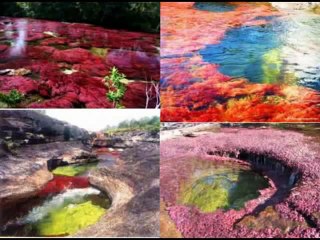 Download Video: los fenómenos naturales más extraños de la tierra