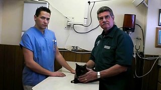 Pet Health Check-Up Exam (informational video) (vet in Hillside, IL 60162)
