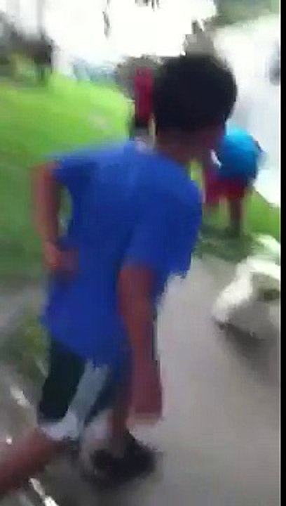 Dog attacks people