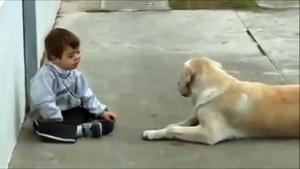 Un perro cuida a niño con síndrome de Down!