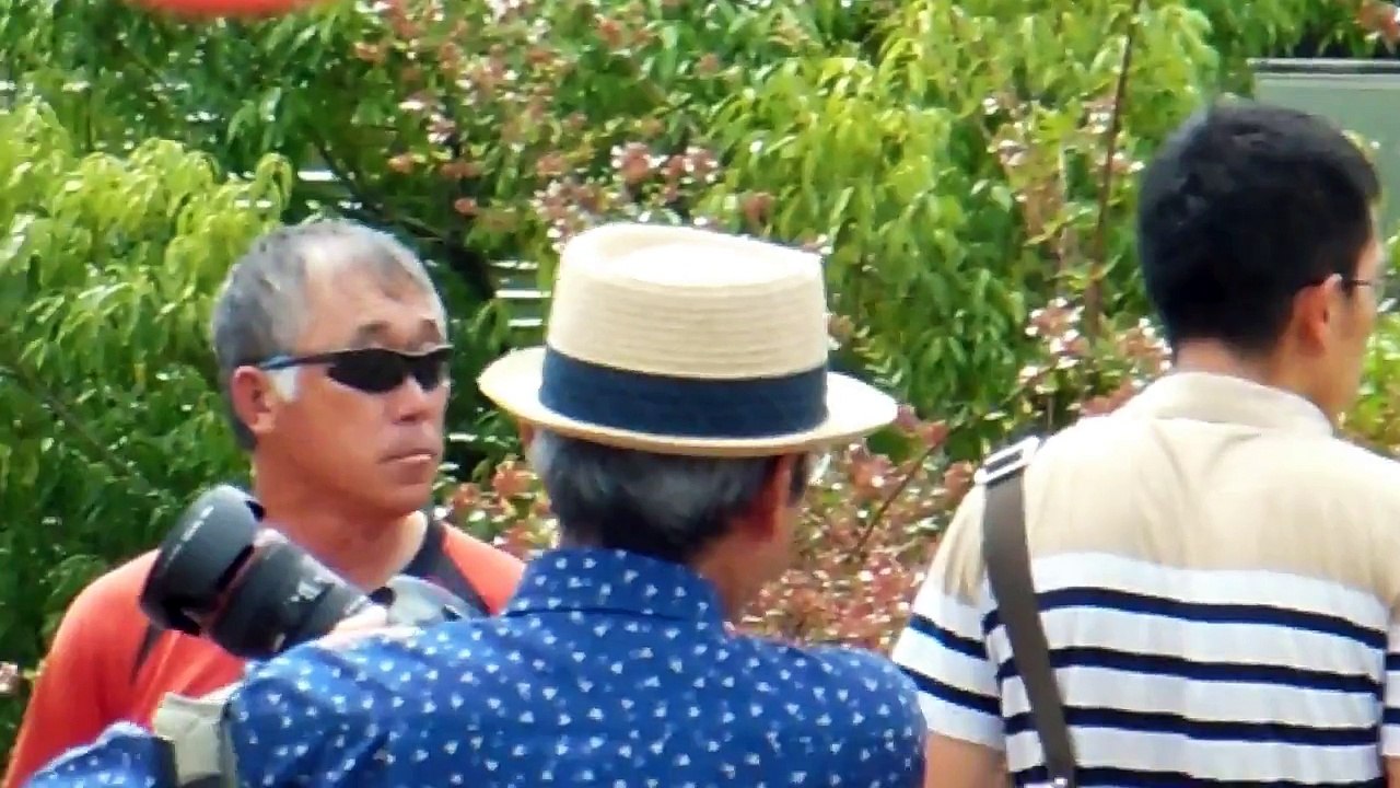 Tiny Hats in Japan!