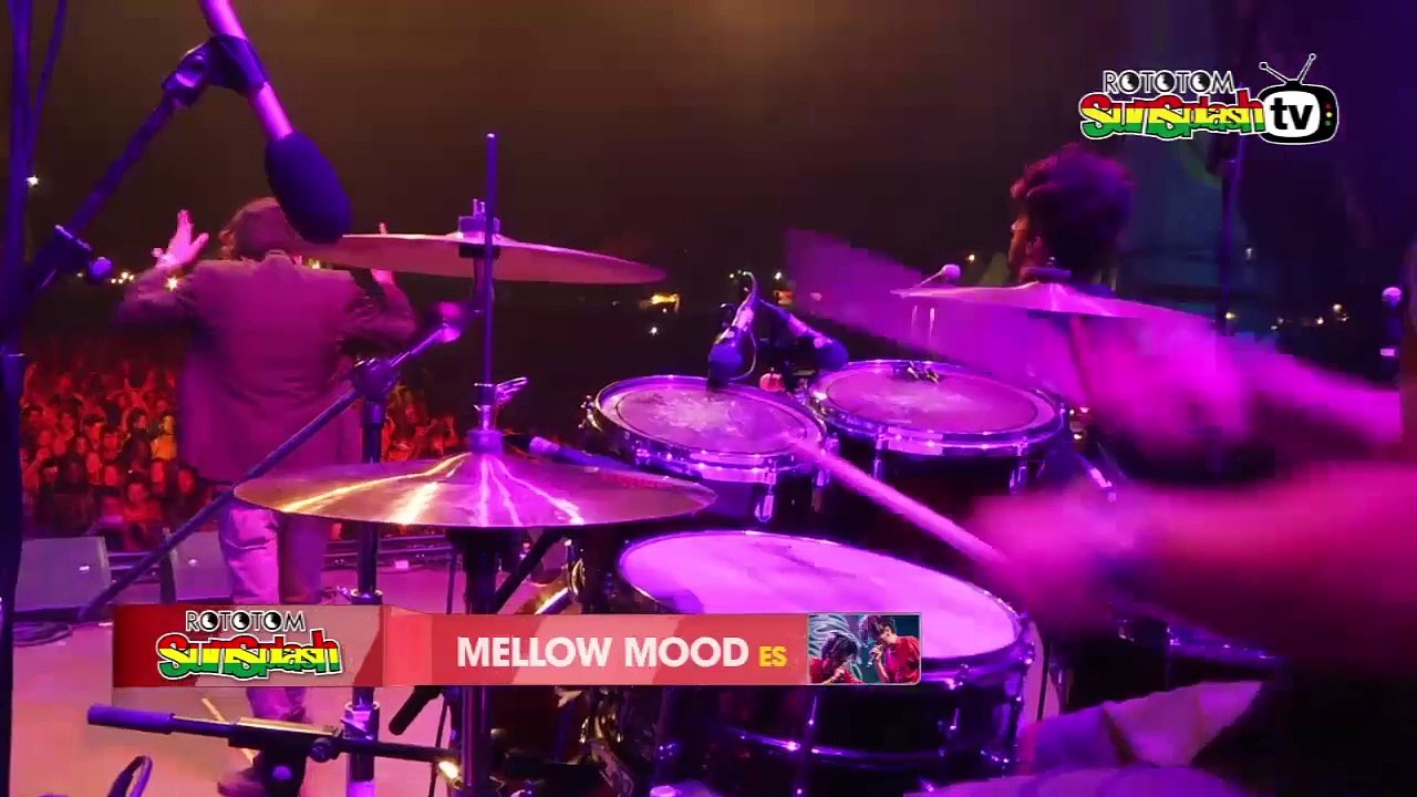 MELLOW MOOD live @ Main Stage 2015