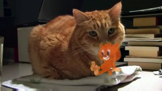Orange Cartoon Cat In Real Life #2 Visiting A Real Cat