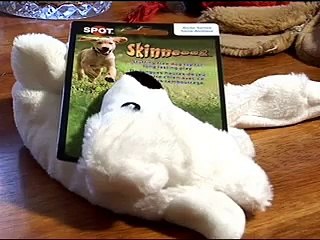 Does it Work?  Skinneeez Dog Toy
